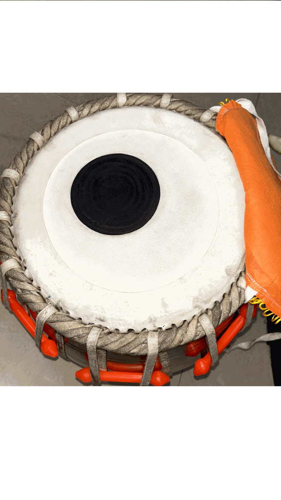 755916FA-6C20-439E-BBB6-5B5C5BB3E04D 2.webp