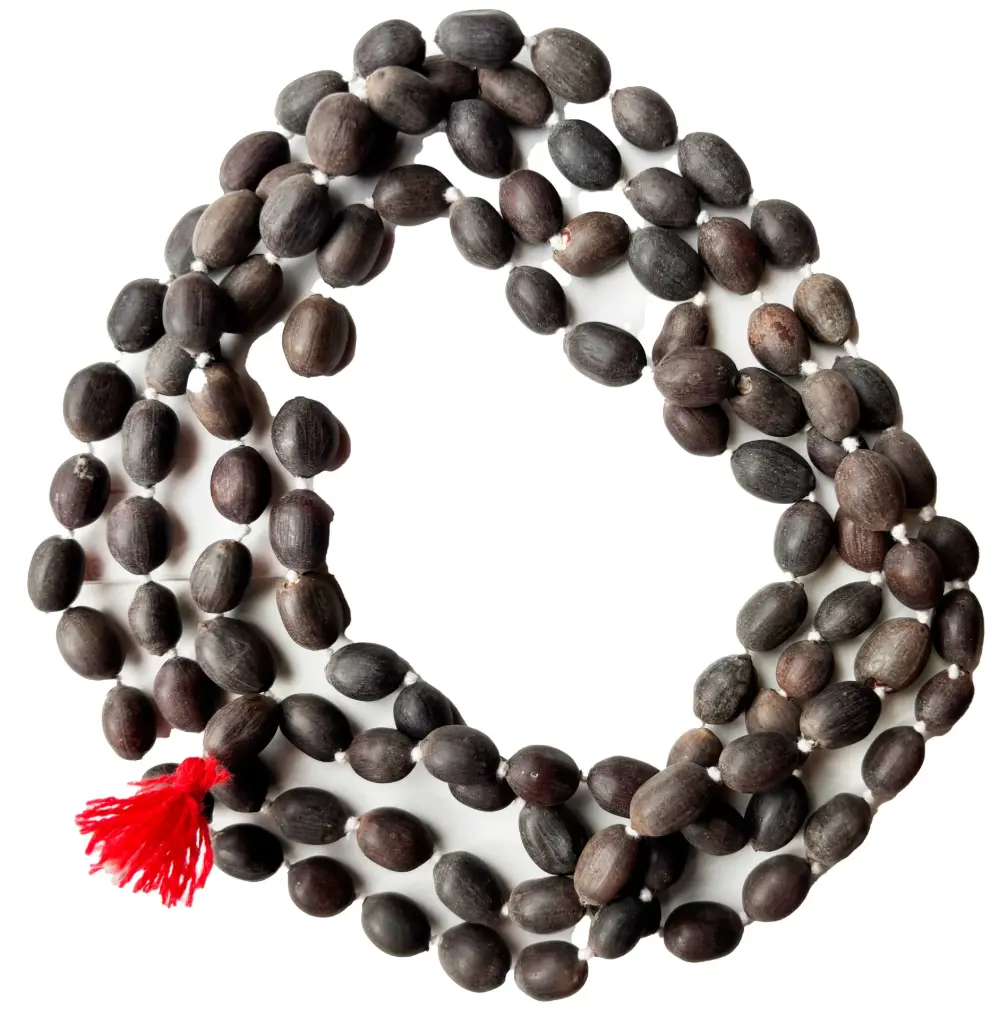 Kamal Gatta or Kamal Beej Maala