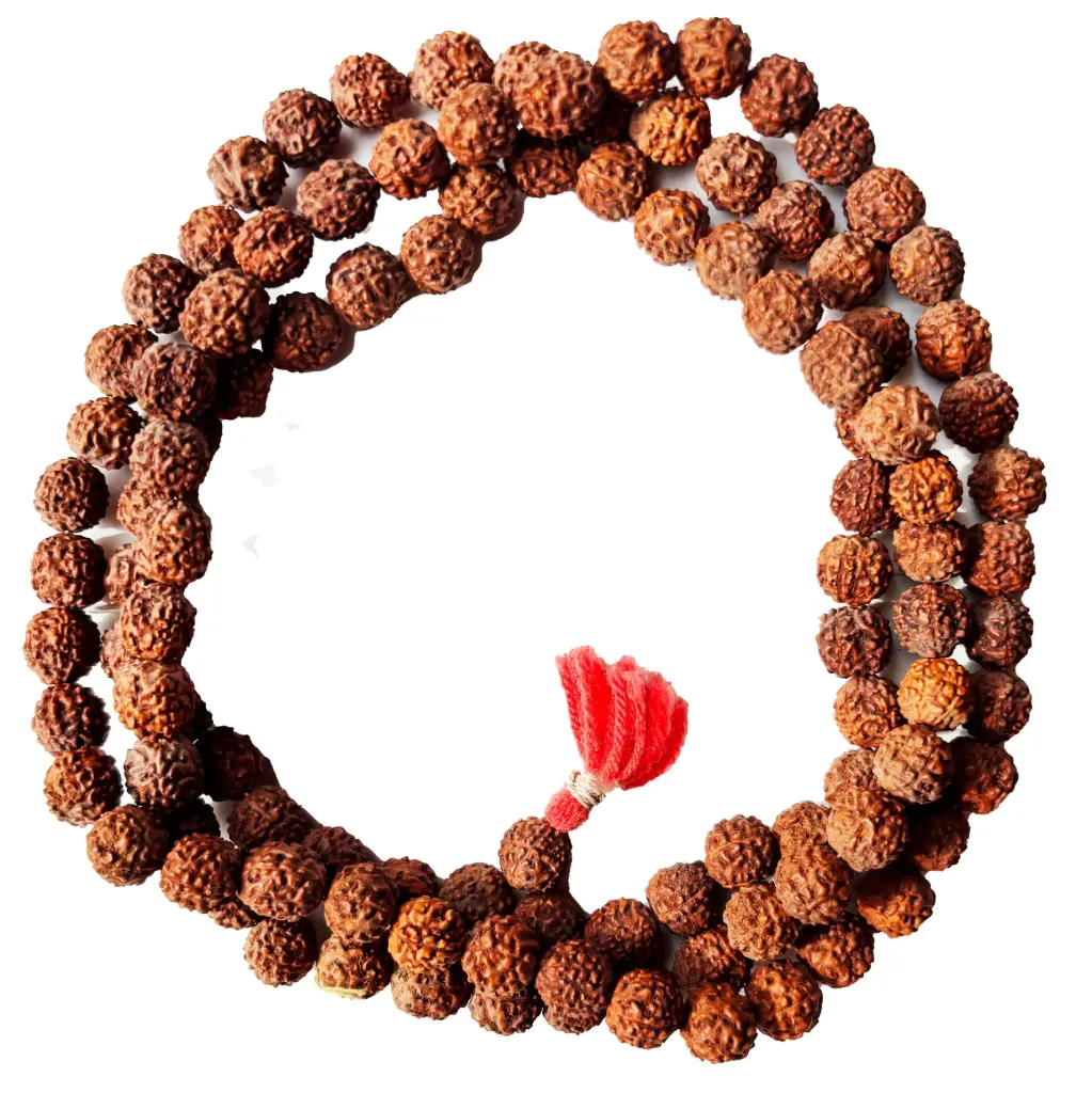 Rudraksha Big Beeds Original Maala