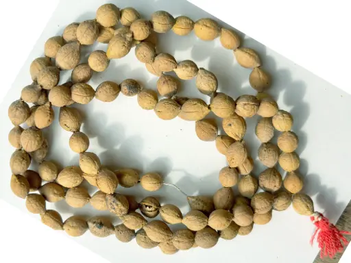 Putra Kanti Original Maala